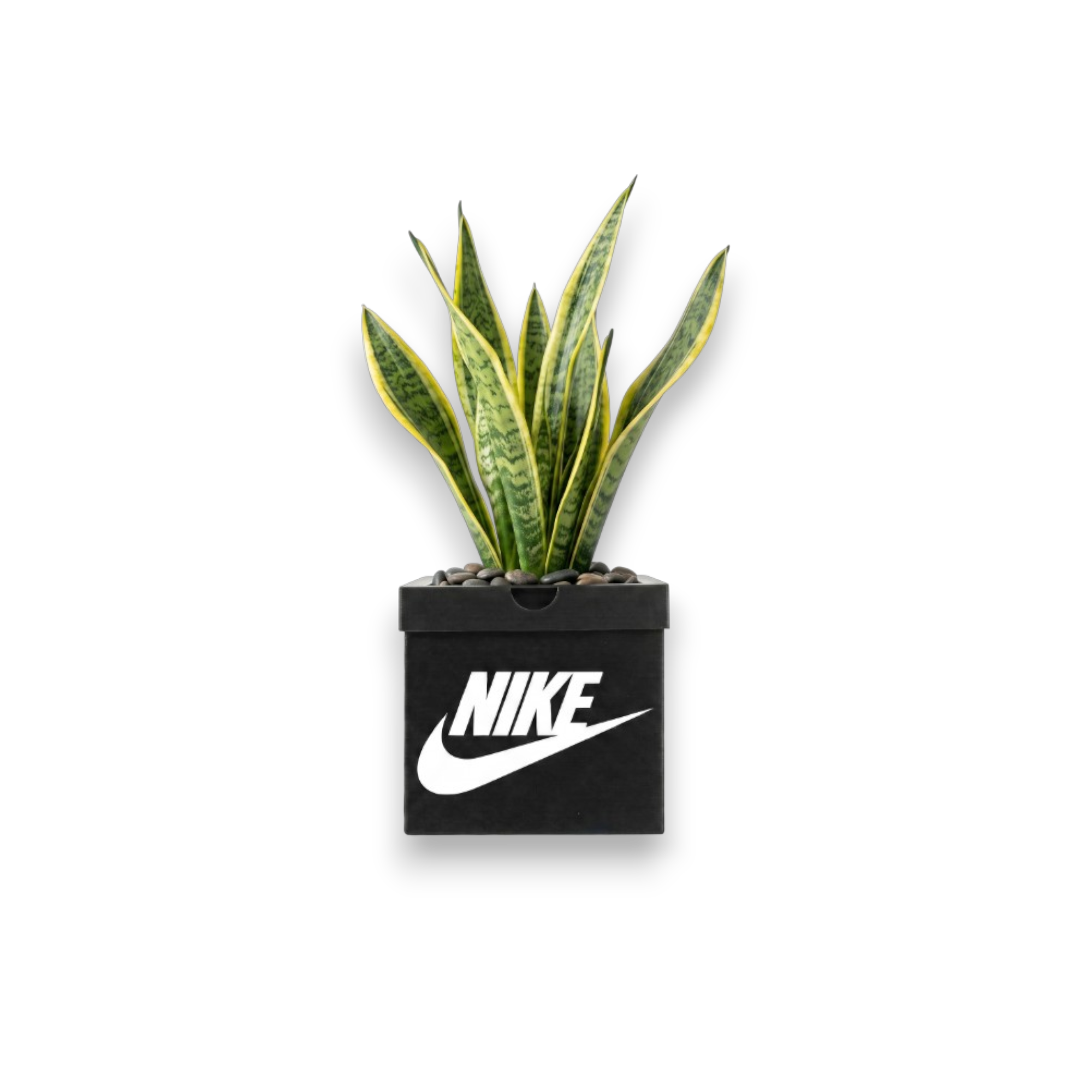 Maceta Nike Box