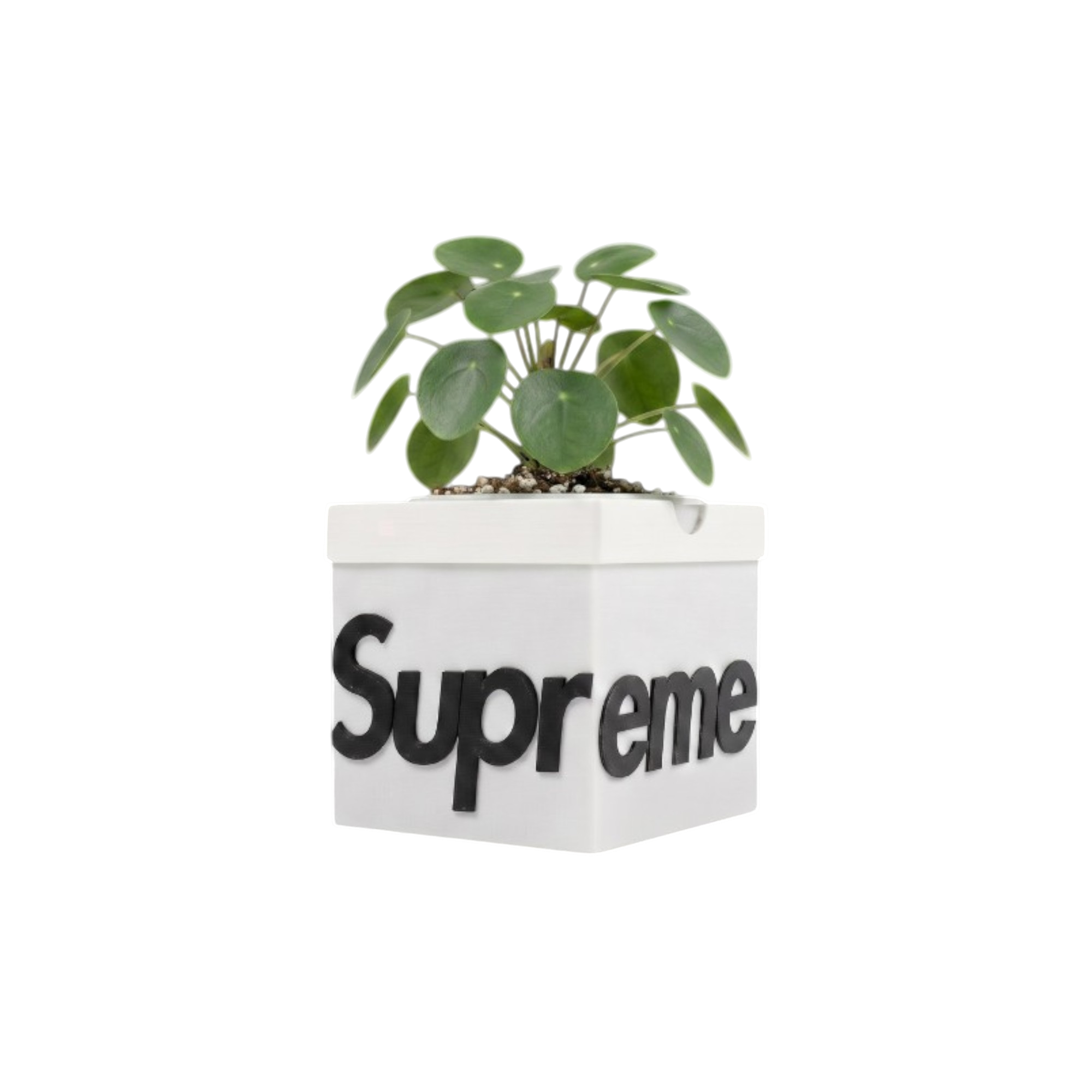 Maceta Supreme Box