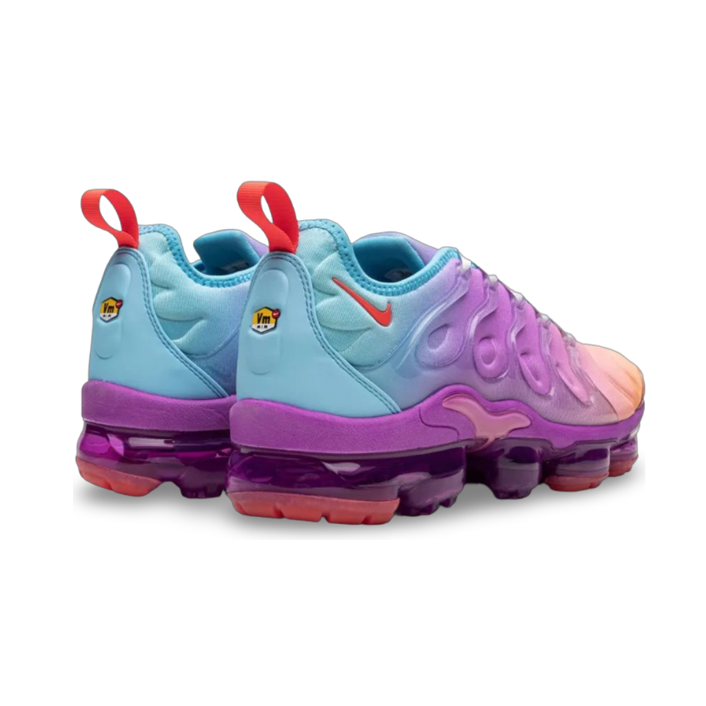 Air VaporMax Plus Multigradient